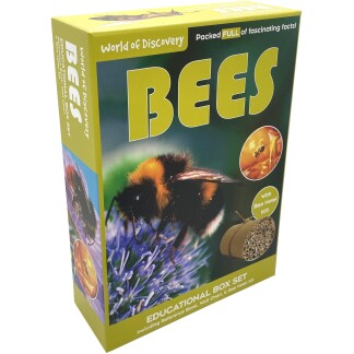 World of Discovery Bees box