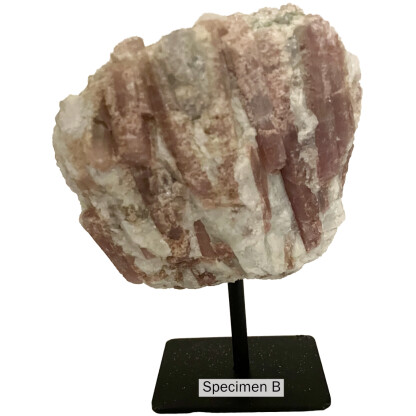 3231B 11