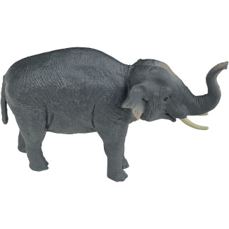 small elephant