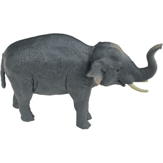 small elephant