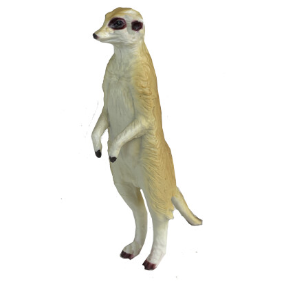 Meerkat