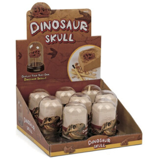 Dig and Display Dinosaur Skull