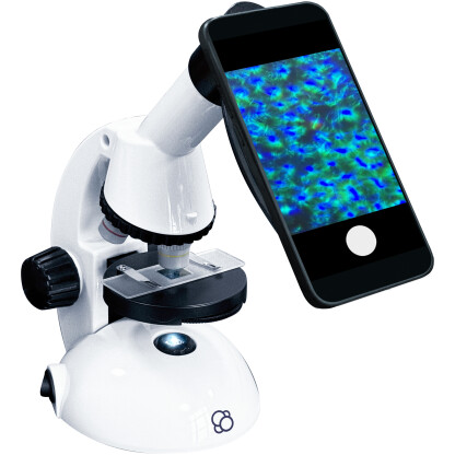 Microscope - Image 5