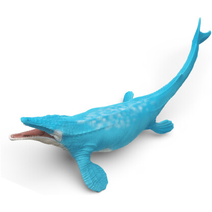 Mosasaurus Hoffmann - Image 2