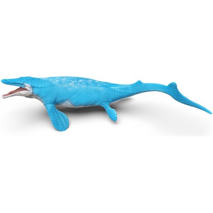 Mosasaurus Hoffmann - Image 3