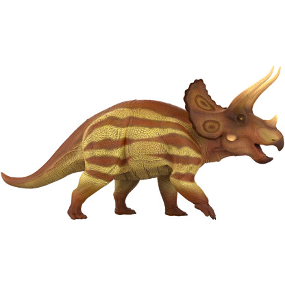 Triceratops Marsh - Image 2