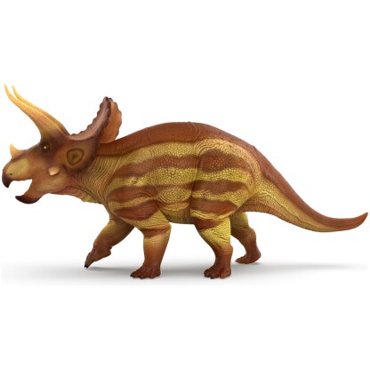 Triceratops Marsh - Image 4