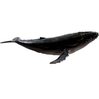 Humpback Whale Soft Replica