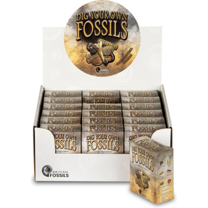 Dig Your Own Fossils display