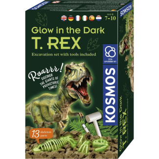 Glow in the Dark T-Rex (pack of 5)