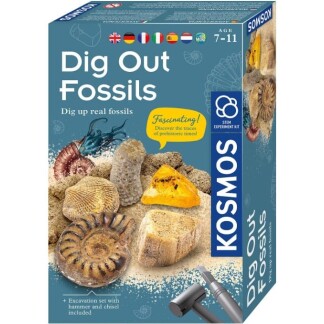 Dig Out Fossils (pack of 5)