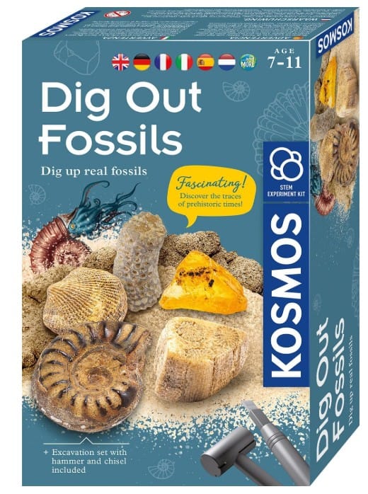 Dig Out Fossils (pack of 5) 1 617226 Dig Out Fossils (pack of 5)