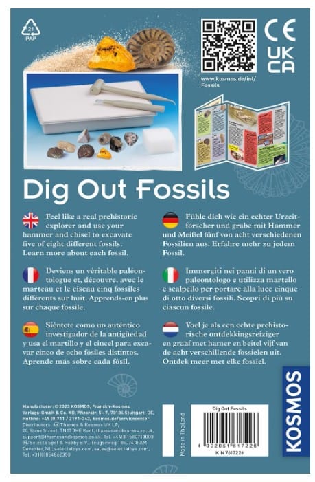 Dig Out Fossils (pack of 5) 2 617226 Dig Out Fossils (pack of 5) - Image 2